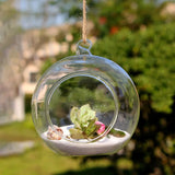 Hanging Glass Ball Vase Succulent Plant Terrarium Container Flower Pots For Christmas Wedding Home Decorations