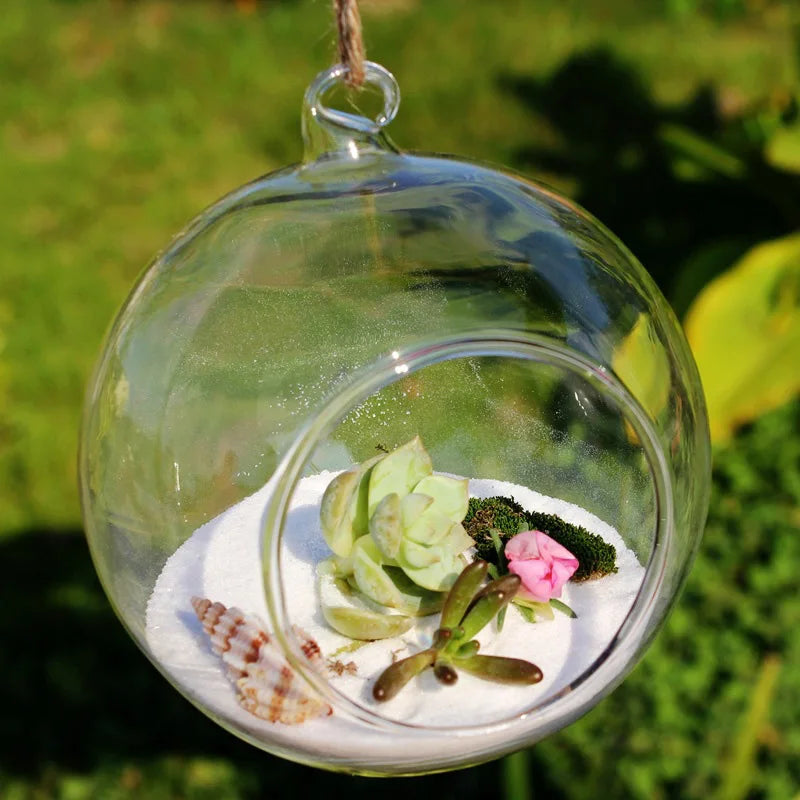 Hanging Glass Ball Vase Succulent Plant Terrarium Container Flower Pots For Christmas Wedding Home Decorations